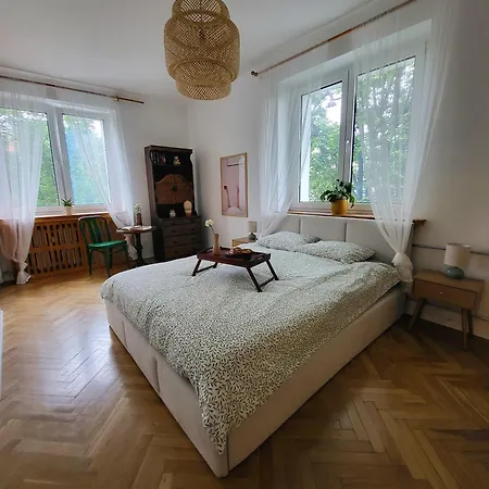 Grandpa's House Apartment
